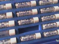 Homoeopathy
